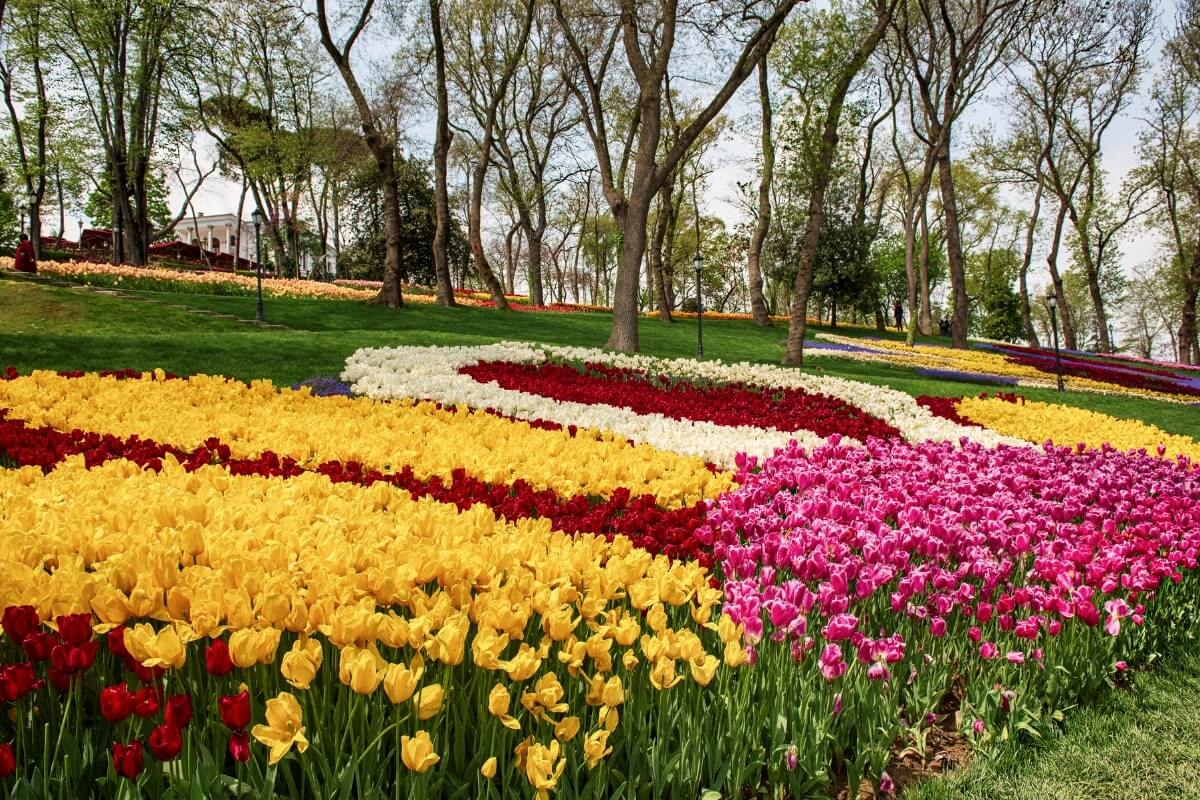 Wisata-Turki-Emirgan-Tulip-Garden.jpg